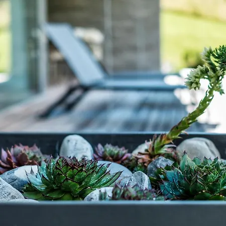 Appartement Luxury Panorama With Alpengold Access