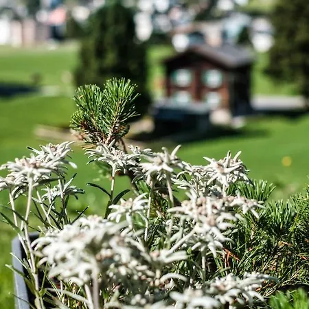 Luxury Panorama With Alpengold Access *