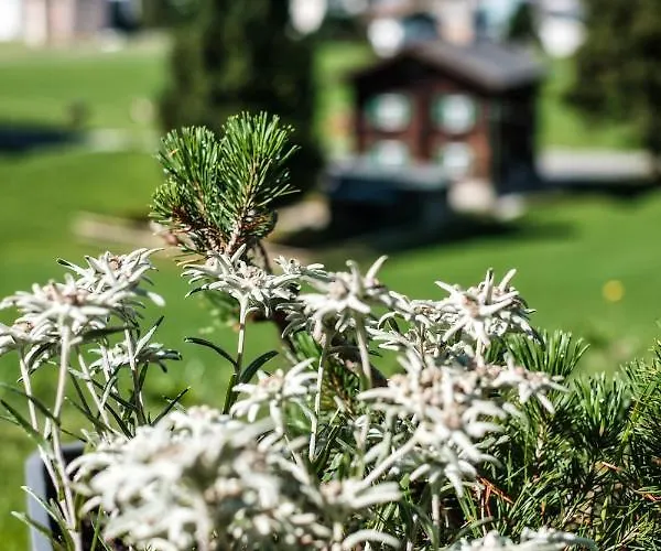 Luxury Panorama With Alpengold Access *